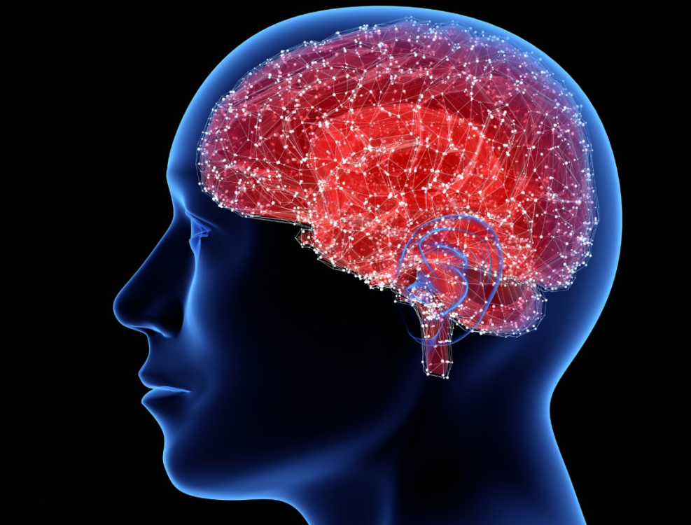 ¿Qué nos enseña este increíble caso?