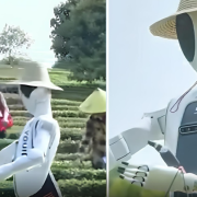 ¡Increíble pero cierto! China crea un robot agricultor que ya trabaja solo