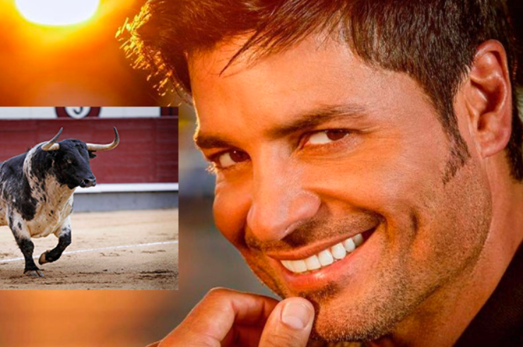 Chayanne contra PETA por su canción más icónica. Una rara polémica