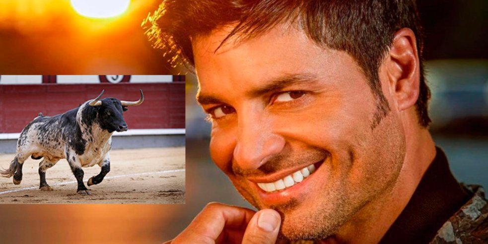 Chayanne contra PETA por su canción más icónica. Una rara polémica