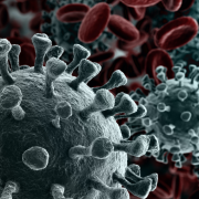 China culpa a EEUU del Covid-19 después de una investigación de 6 años