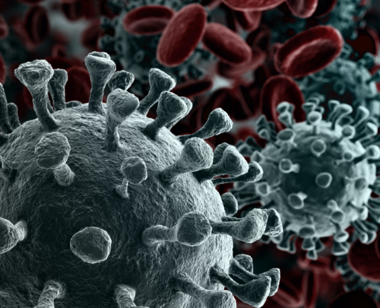 China culpa a EEUU del Covid-19 después de una investigación de 6 años