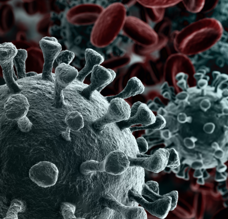 China culpa a EEUU del Covid-19 después de una investigación de 6 años