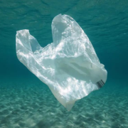 Japón crea un plástico soluble que desaparece en horas