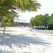 Turismo futuro del municipio de Carmen