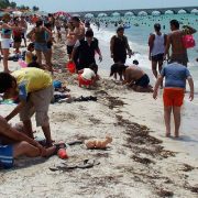 Descubre las mejores Playas de Yucatán para visitar en Semana Santa