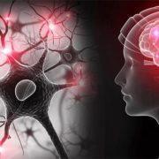 Día Mundial del Parkinson