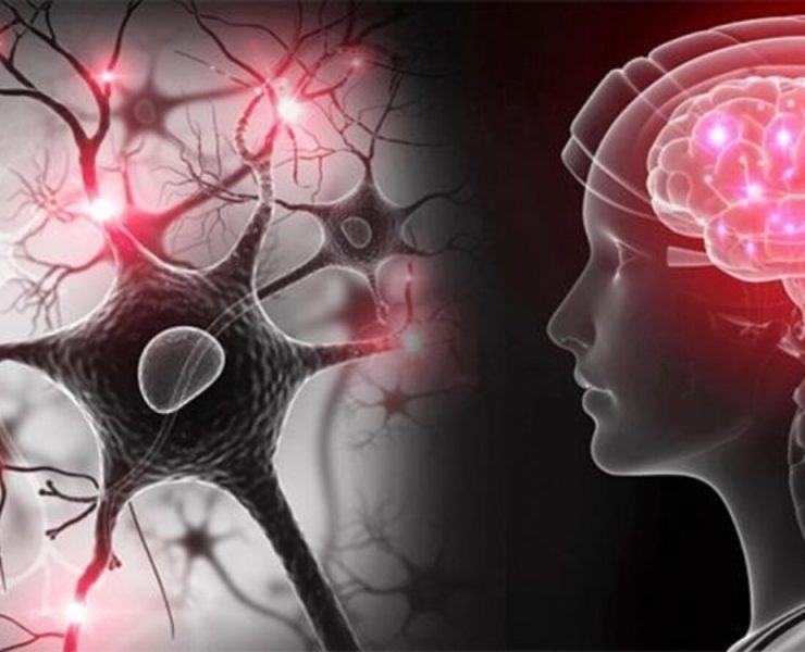 Día Mundial del Parkinson