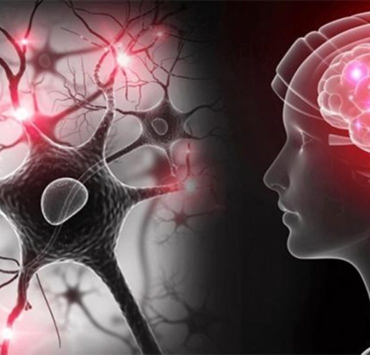 Día Mundial del Parkinson