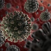 Estados Unidos reaviva polémica teoría sobre origen del COVID-19 en China