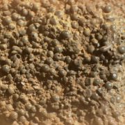 Encuentran extraña roca en Marte que desconcierta a científicos