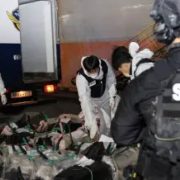 Incautación de cocaína proveniente de México Impacto internacional