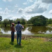 Temporada de seca representa calvario para ganaderos y pescadores de Atasta