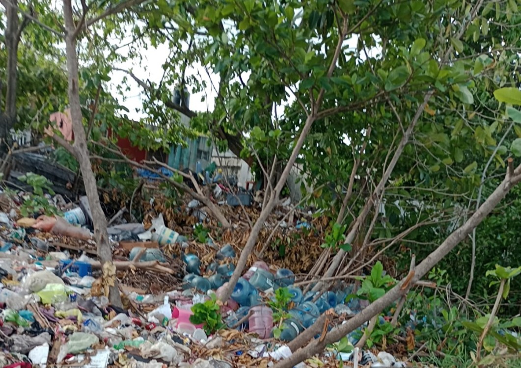 Retiran toneladas de basura en la Laguna de la Manigua