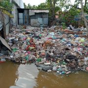 Retiran toneladas de basura en la Laguna de la Manigua