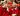 Los cardenales inician las congregaciones generales