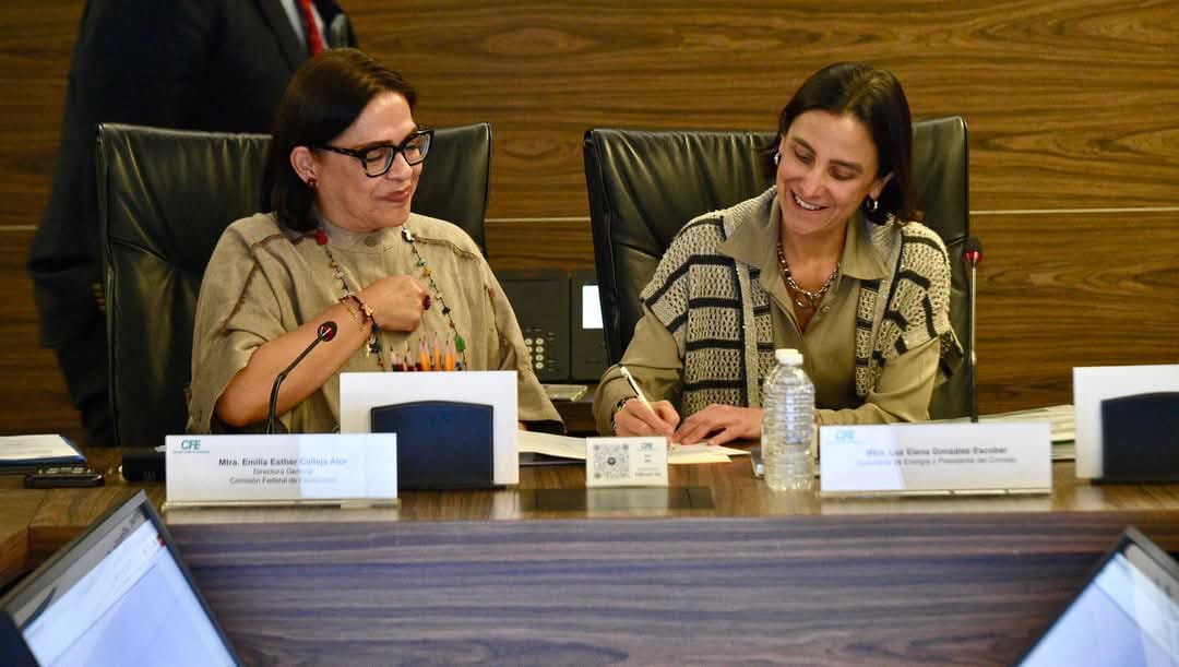 Luz Elena lidera como presidenta del Consejo