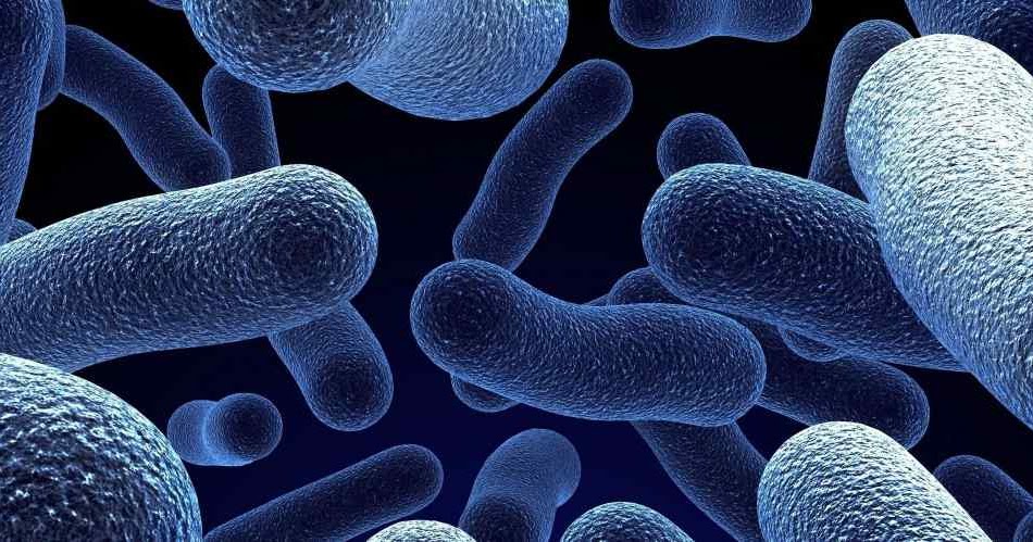 ¿Una nueva frontera entre lo vivo y lo no vivo?