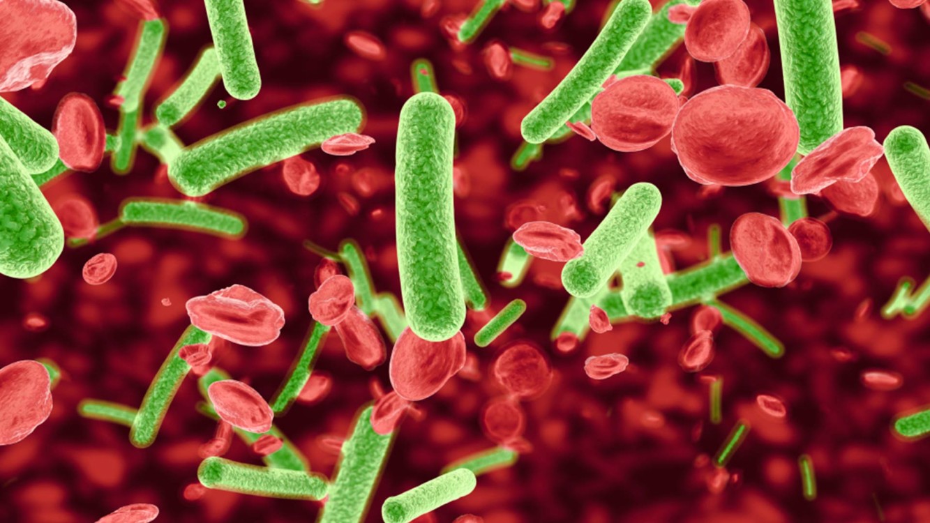 ¿Qué es exactamente esta nueva entidad biológica en nuestro cuerpo?