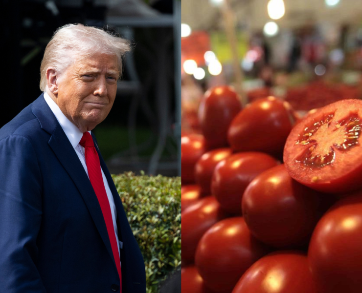Nueva ofensiva arancelaria de Trump contra el tomate mexicano reaviva tensiones comerciales