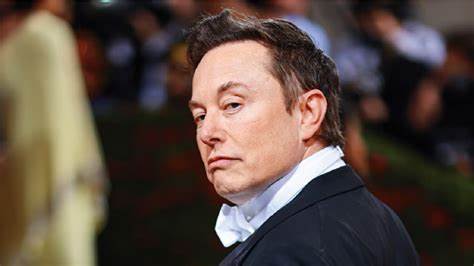 Elon Musk y la preocupación por la riqueza legislativa