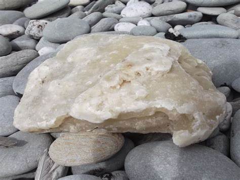 ¿Qué es el ámbar gris?