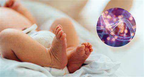 La inteligencia artificial revoluciona la fertilización asistida