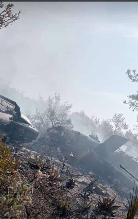 Ocho brigadistas resultan heridos tras desplome