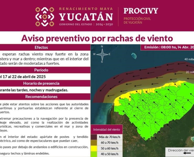 Alerta climática: Precaución ante fuertes vientos
