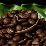 ¿Qué país produce el mejor café? La respuesta según la IA