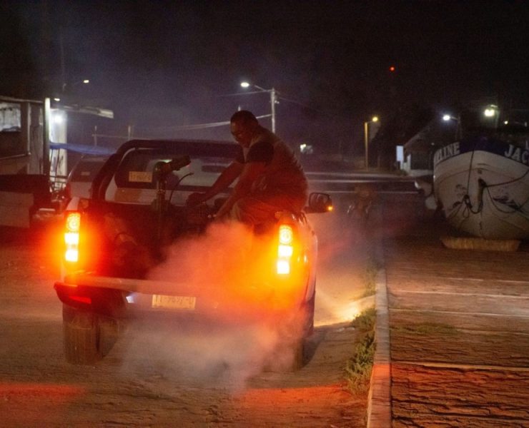 Refuerzan combate al mosquito en playas yucatecas durante periodo vacacional