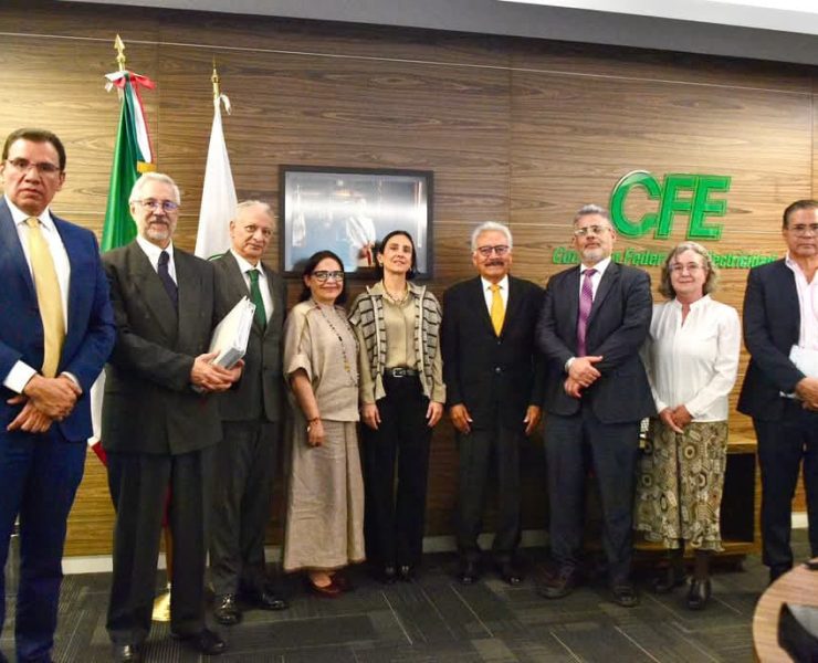 Establecen Reglas de Operación en la CFE