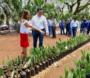 Gracias a este convenio y al interés del alumnado, se respaldará a las y los productores con asesoría y capacitación técnica en su producción.