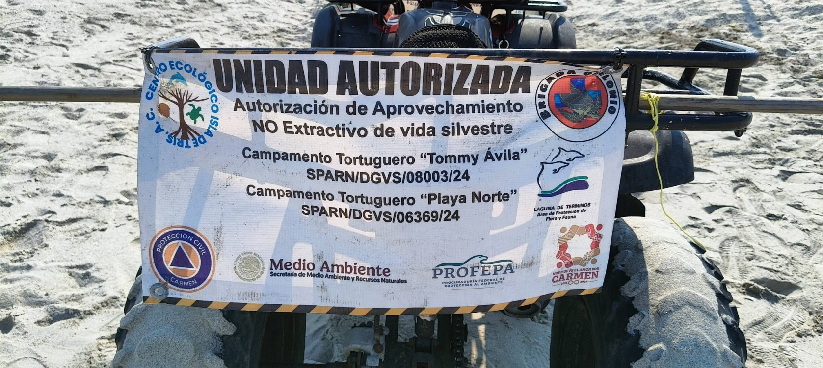 Encierran en un corral el nido de la tortuga Lora de Playa Norte