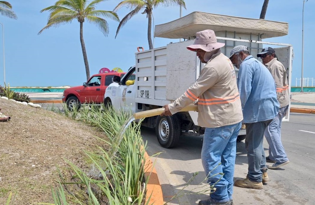 Ayuntamiento del Carmen no ha pagado los quinquenios a trabajadores