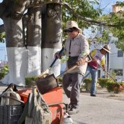Ayuntamiento del Carmen reinstalará a trabajadores de más de 60 años