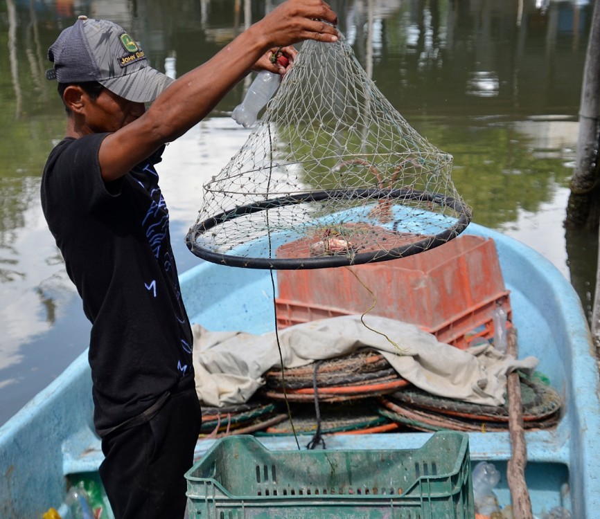 Falta de coordinación para frenar la pesca furtiva en la Laguna de Términos