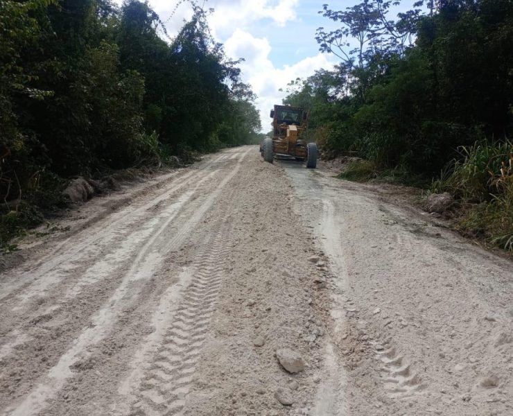 Levanta Layda veto al Clan Gordillo; conservaciones Xpujil gana contrato de $9.7 MDP