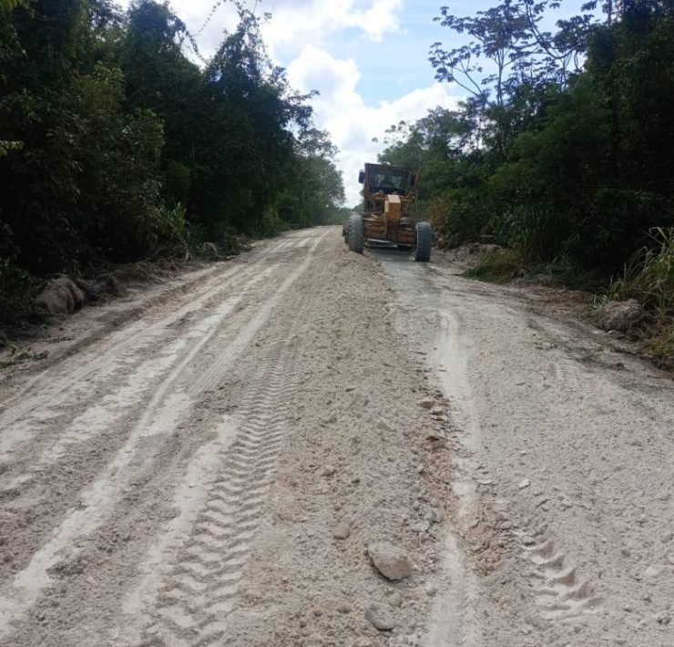 Levanta Layda veto al Clan Gordillo; conservaciones Xpujil gana contrato de $9.7 MDP