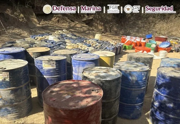 delincuencia organizada