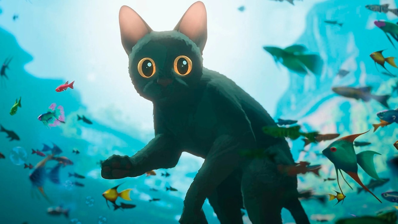 Proyectarán Flow en el Zócalo: Un Plan Imperdible