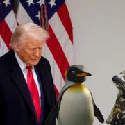 ¡Trump le impone aranceles a los pingüinos y focas! Un sinsentido
