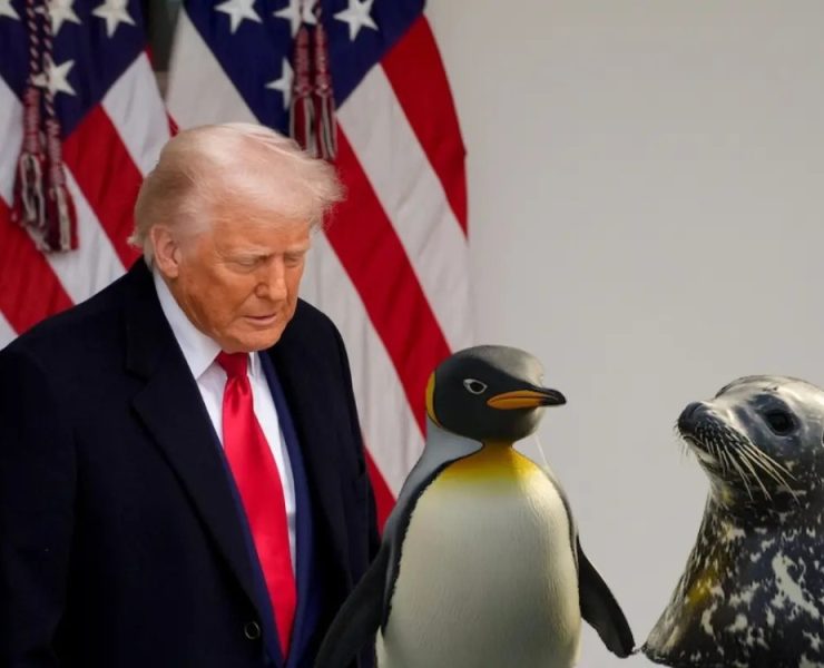 ¡Trump le impone aranceles a los pingüinos y focas! Un sinsentido