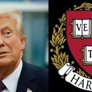 ¡Escala conflicto entre Trump y Harvard! Millonaria venganza sacude a EE.UU.