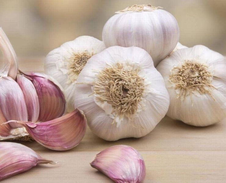 ¡Los 3 Beneficios de Comer Ajo! Un alimento que favorece tu salud