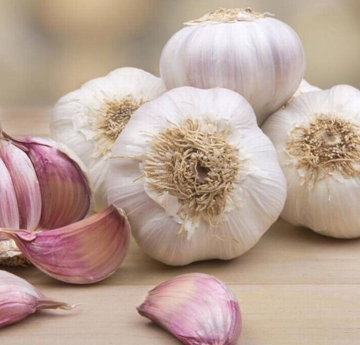 ¡Los 3 Beneficios de Comer Ajo! Un alimento que favorece tu salud