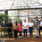 en marcha el nuevo aviario del Yumká