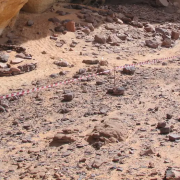 linaje humano desconocido en el antiguo Sáhara
