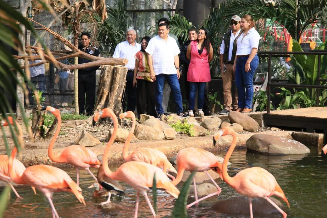 marcha el nuevo aviario del Yumká 