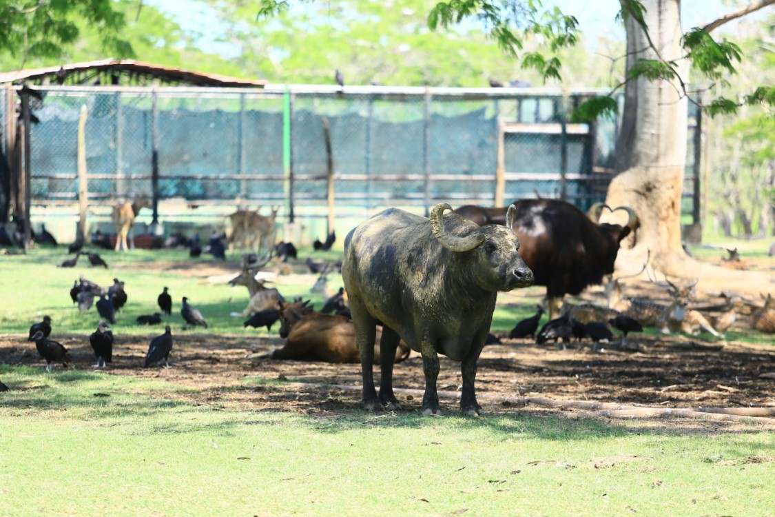 sana convivencia en familia